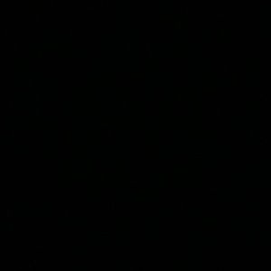 Meet your Posher, Matilda